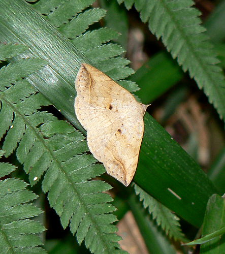 d0091754_23341310.jpg