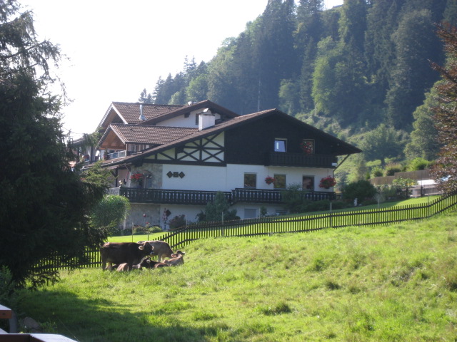 b0179656_54547.jpg