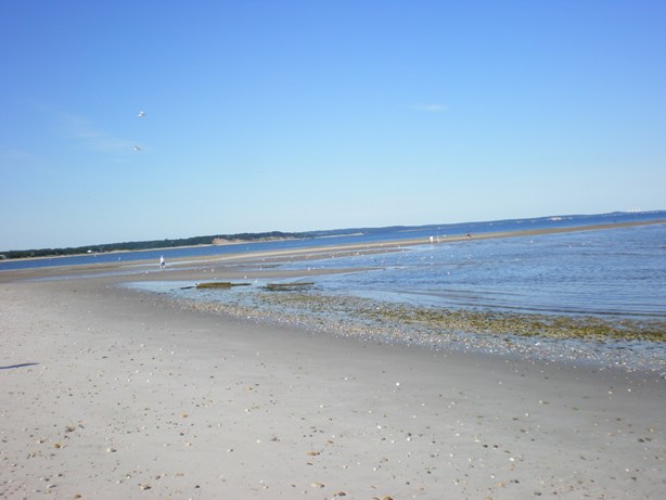 c0055857_234636.jpg