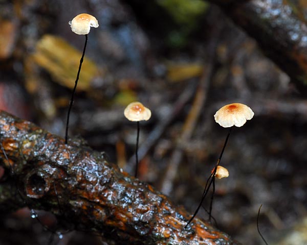 e0035757_2244294.jpg