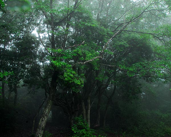 e0035757_2283696.jpg