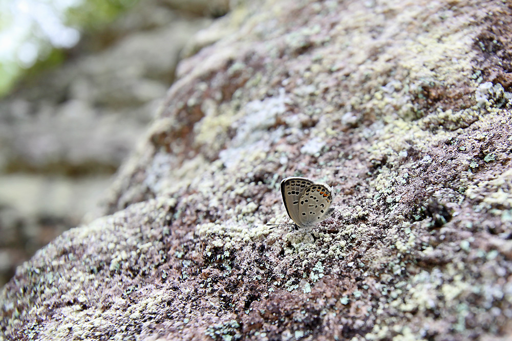 e0156157_1629685.jpg