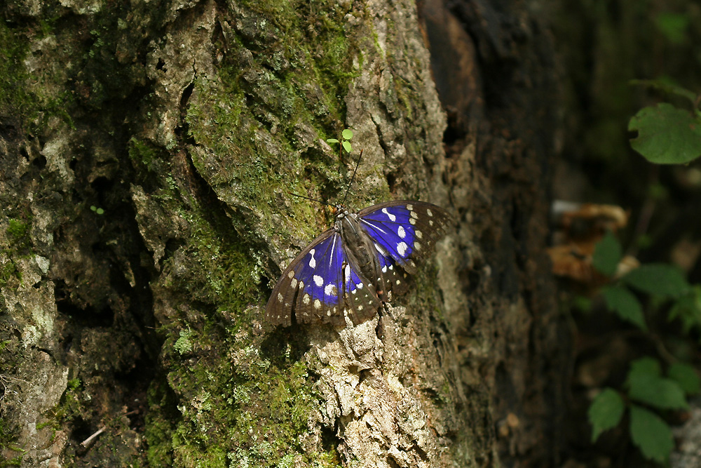 e0156157_16364939.jpg
