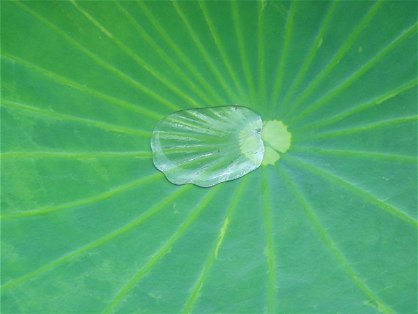 e0125762_0433691.jpg