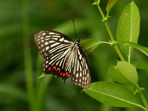 f0208666_16252514.jpg