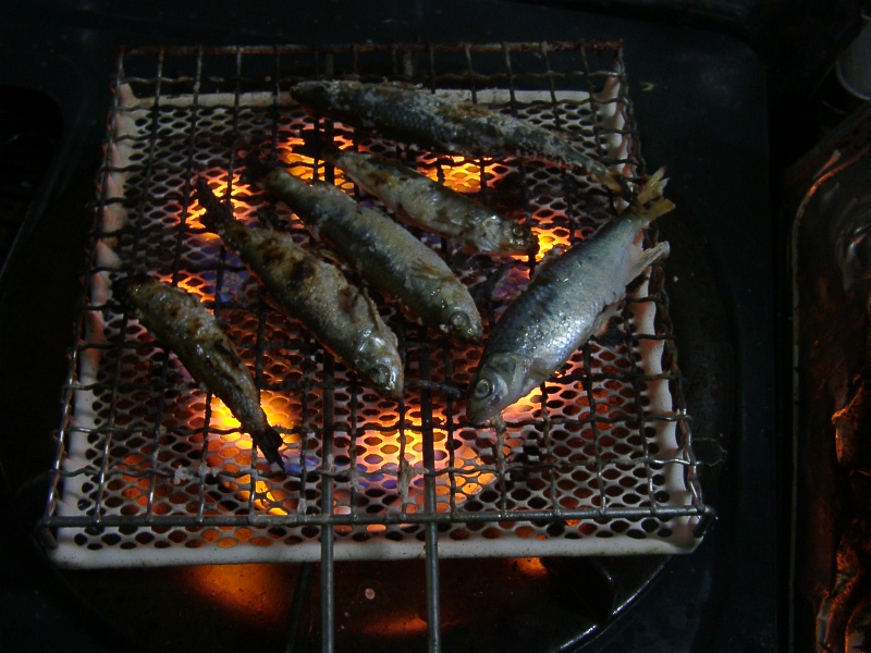 やっぱり アンマ釣りかぁ 埼玉の空より