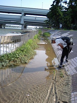 西宮浜までサイクリング_e0143671_16482633.jpg