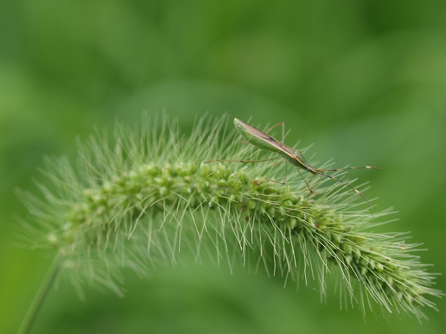 b0135573_22104029.jpg