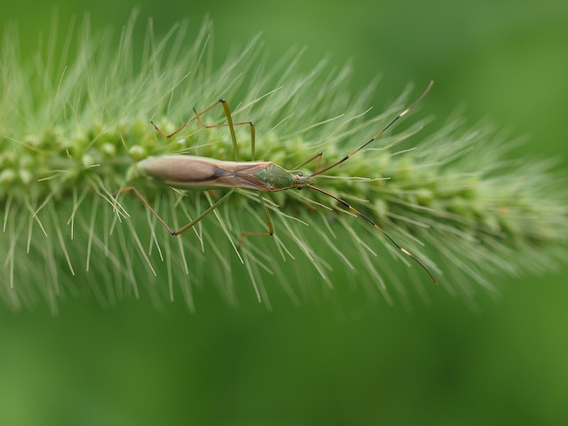 b0135573_22105528.jpg