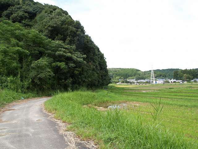 b0135573_2265978.jpg
