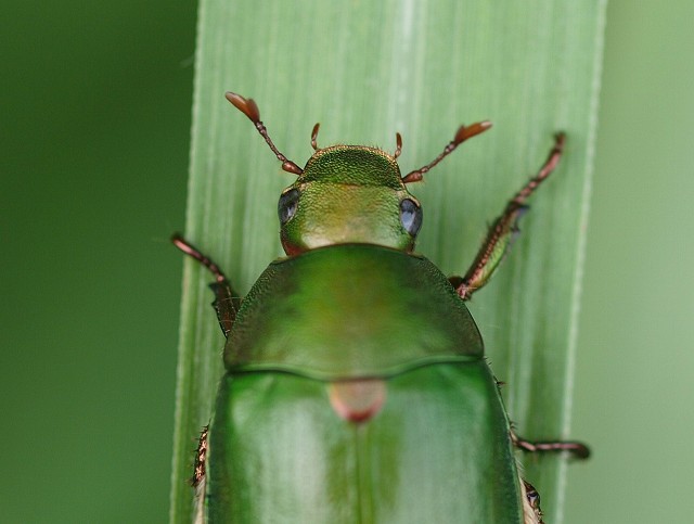 b0135573_2291255.jpg