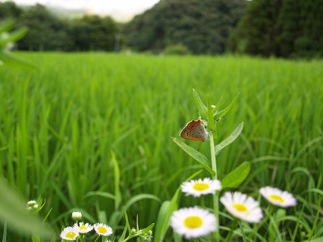 b0135573_23133850.jpg