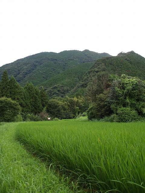 b0135573_23263449.jpg