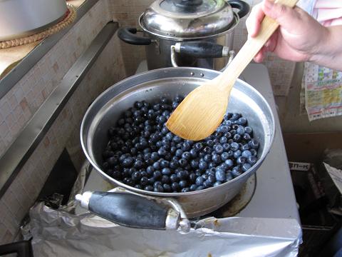b0032079_23334768.jpg