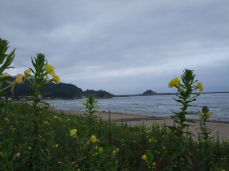 青春１８切符の旅　第ニ弾③（鳥取～東浜）_e0138081_18133679.jpg