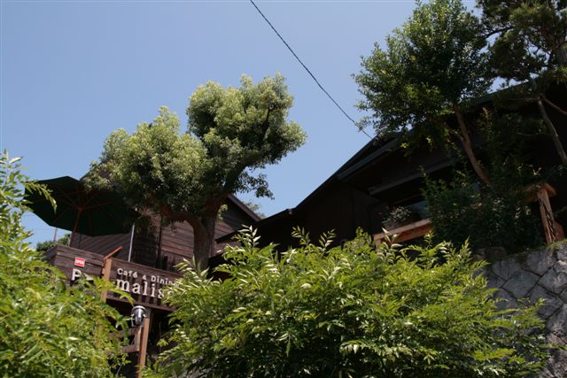 c0099086_22423642.jpg