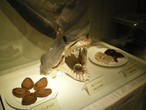 c0109090_1836288.jpg