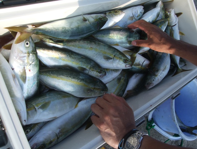 今年もジギングシーズン到来だー！　　明石浦釣り船「魚英」_f0106190_8125031.jpg