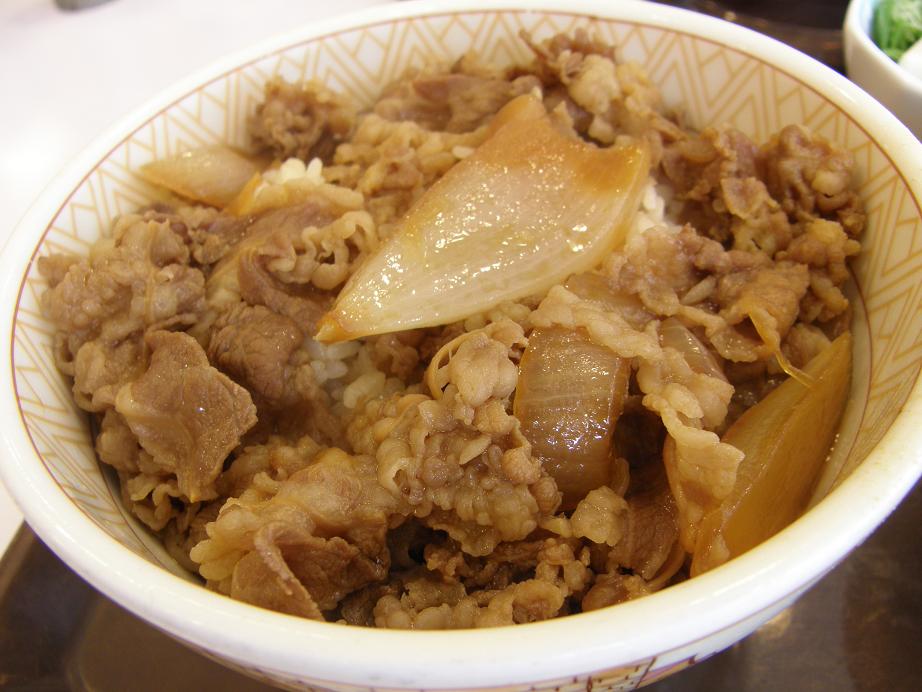 「すき家」の牛丼 中環大日店 _c0118393_9305895.jpg