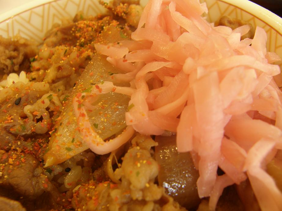 「すき家」の牛丼 中環大日店 _c0118393_9344199.jpg