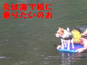 c0188294_1128889.jpg