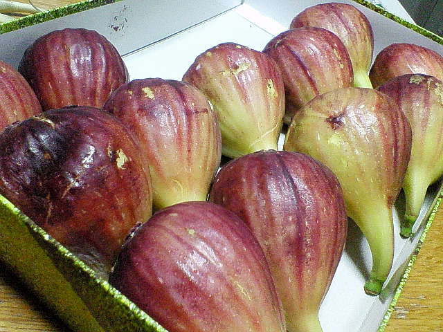 d0072395_10315199.jpg