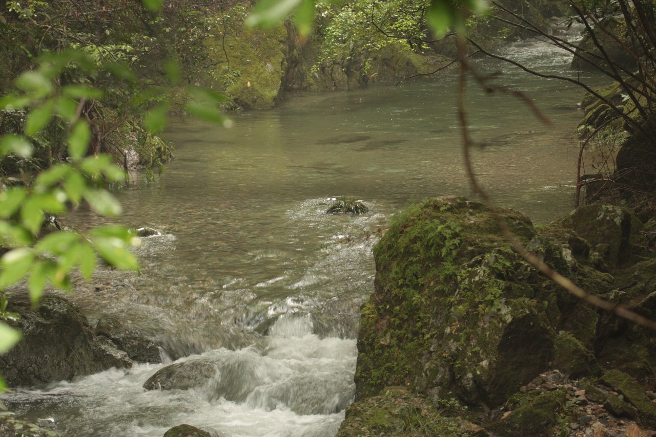 【浜松へ帰省（６日目）：くんま水車の里の植物と風景】_e0167295_21494782.jpg