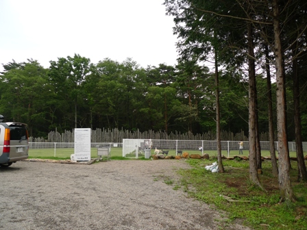 f0001698_5215076.jpg