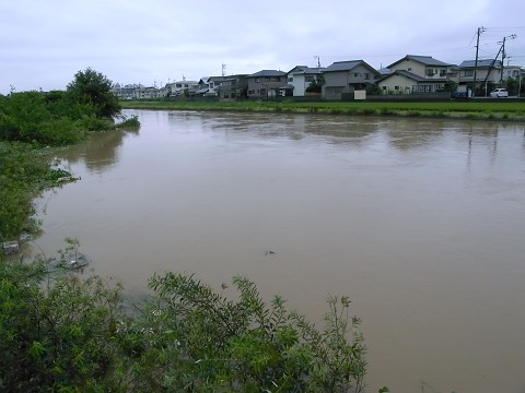 c0196900_17553970.jpg