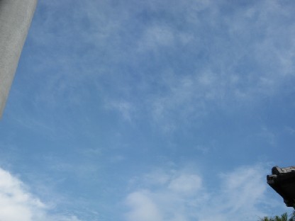 a0040103_20135576.jpg