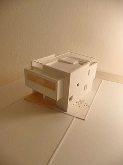 オキナワの家 2題_b0014003_16292059.jpg