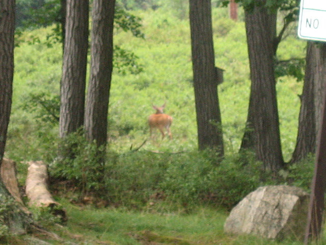 f0036409_9355961.jpg