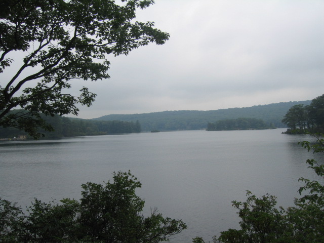 f0036409_939563.jpg