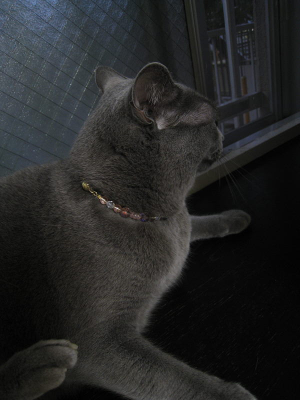 d0039312_855498.jpg
