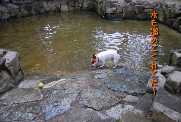 有馬の水場の代わりに_f0203612_22492296.jpg