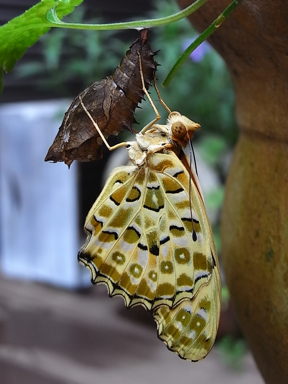 雨だから_f0188413_1622464.jpg