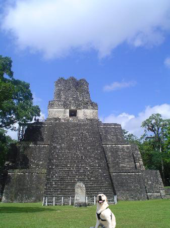 f0191413_10523464.jpg