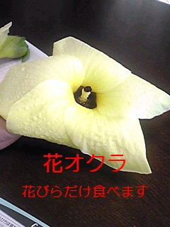 a0125814_178128.jpg