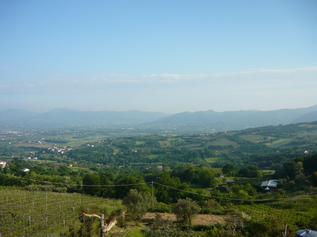 c0159117_21512745.jpg