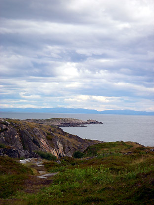 ノルウエーの島 第七回 草花_d0062721_6254572.jpg