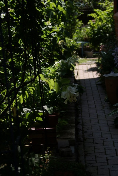 f0170524_12491571.jpg