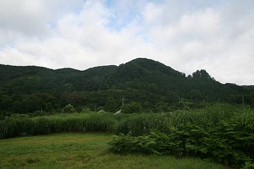 f0135026_14391152.jpg