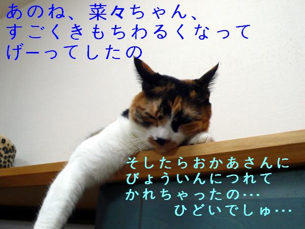 c0096628_1145746.jpg