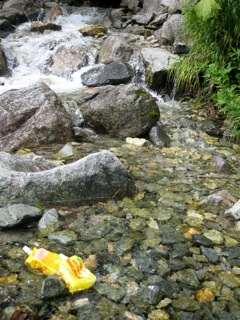 f0098728_16231772.jpg