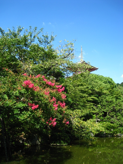 清水寺（千日詣り、内々陣特別拝観）_b0169330_2221895.jpg