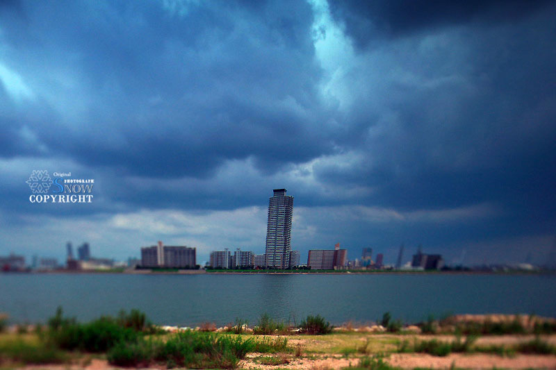 f0005935_2318074.jpg