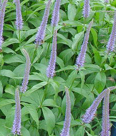 f0161535_21483799.jpg