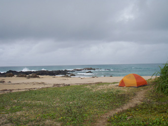 e0041337_18303987.jpg