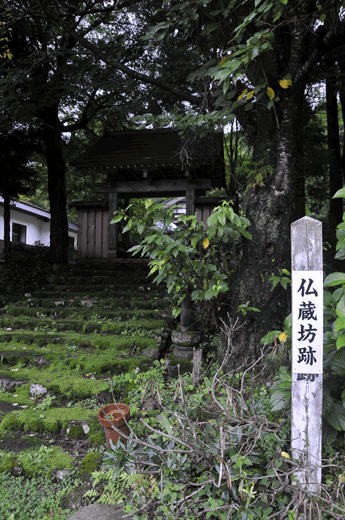 c0093046_642512.gif