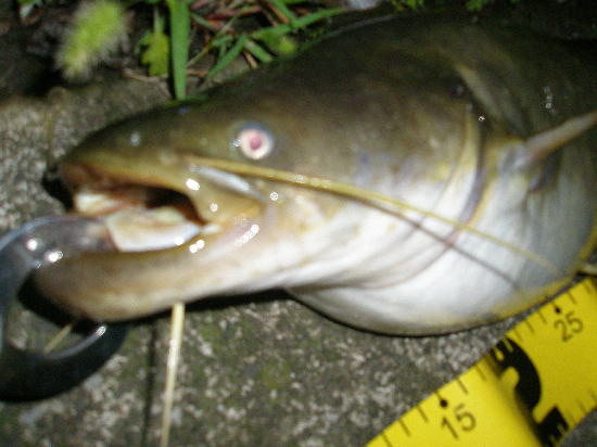 f0150151_232103.jpg